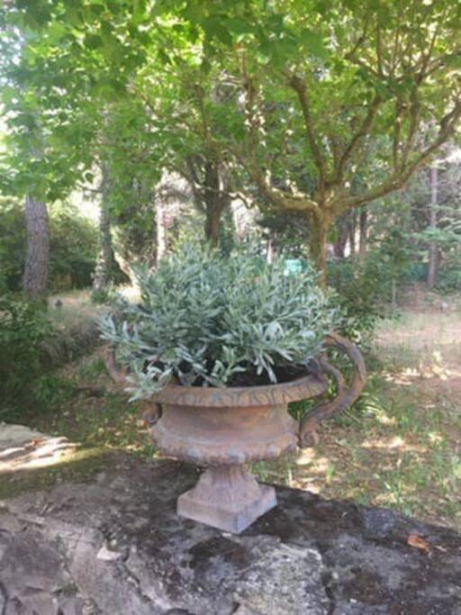 Le Clos De La Tour Cassis Piscine Chauffee Bagian luar foto