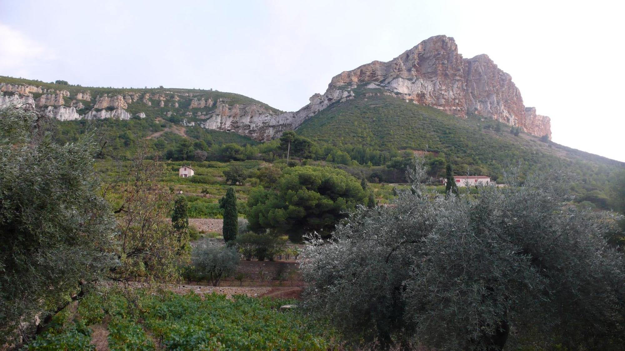 Le Clos De La Tour Cassis Piscine Chauffee Bagian luar foto