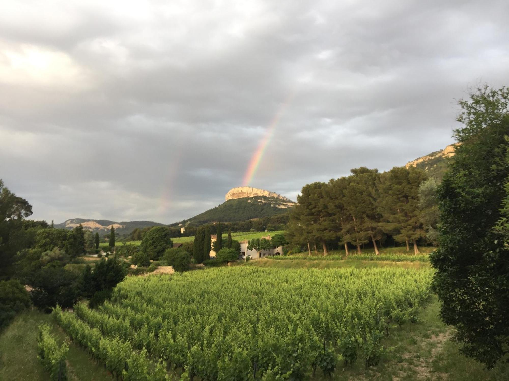 Le Clos De La Tour Cassis Piscine Chauffee Bagian luar foto